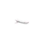 25-128306-1 Eckler S Corvette Valance