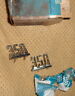 3906718 3095718 Gm Nos Camaro Front Fender Emblems Rs Ss Oem Pace