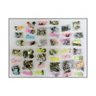 68w-m Amk Products Master Body Fastener Kit Cougar