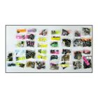 70w-m Amk Products Master Body Fastener Kit Piece Cougar