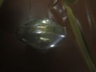 72-jhgc Jensen Healey Roadster Chrome Gas Cap Assembly