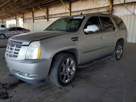 130-01065r Cadillac Passenger Right Rear Side Door Fits 07-09 Escalade 2383420