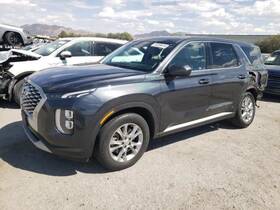 120-10364br Hyundai Passenger Right Front Door Without Acoustic Glass Fits 20-22 Palisade 2287460