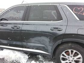 130-10387bl Hyundai Local Pickup Only Driver Left Rear Side Door Without Sunshade Fits 20-22 Palis
