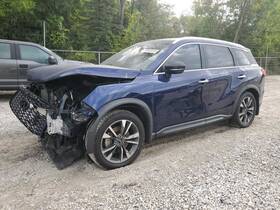 120-10573l Infiniti Local Pickup Only Driver Left Front Door Fits 22-24 Qx60 477902
