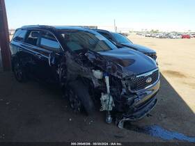 120-60673cl Kia Driver Front Door Thru 06/03/18 With Acoustic Glass Fits 16-19 Sorento 2254875