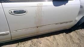 120-58609br Nissan Local Pickup Only Passenger Right Front Door Chrome Trim Gle Fits 95-99 Maxima