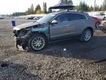 Left Bwn Rear Door Assembly Oem 13-16 Cadillac Srx. Fixed Price $170.00.