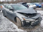 (local Pickup Only) Passenger Right Rear Side Door Fits 21-23 Maxima 2129734. Fixed Price $799.90.