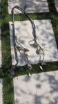 1984-1987 Buick Regal Grand National Complete Harness Oem. Fixed Price $135.00.