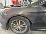 2015 Hyundai Sonata Driver Left Fender Oem Brown Used 110-61289L Local Pickup. Fixed Price $284.95.