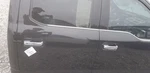 Ford F150 Platinum Crew Cab Door Assembly Rear Right Passenger Black. Fixed Price $950.00.