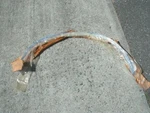 Nos 1971 72 73 Ford Mustang Front Fender Moulding Lh. Fixed Price $124.99.