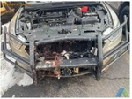 (local Pickup Only) Passenger Front Door Electric Police Fits 13-19 Taurus 42198. Fixed Price $169.99.