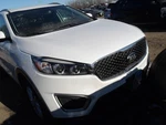 Passenger Rear Side Door Thru 06/03/18 With Sunshade Fits 16-19 Sorento 1618489. Fixed Price $605.00.