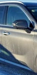 2020-2022 Hyundai Palisade Rh Right Passenger Front Door Oem. Fixed Price $1590.00.