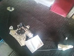 Used Door Motor Fits: 2011 Nissan Quest Grade. Fixed Price $174.00.