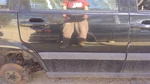 (local Pickup Only) Passenger Rear Side Door Electric Fits 98-00 Volvo 70 Series. Fixed Price $174.99.