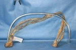 Nos 1976-83 Chevy Truck Lh Rear Wheel Lip Molding Edge Trim Ext Garnish 14046273. Fixed Price $200.00.