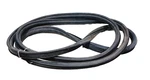 1955 1956 1957 Chevrolet Pontiac Convertible Windshield Channel Rubber Oem. Fixed Price $29.50.