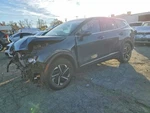 Driver Front Door Us Built Solar Glass Fits 23-24 Sportage 11617483. Fixed Price $1080.00.