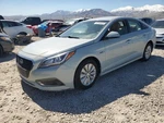 Passenger Front Door Electric Korea Built Hybrid Fits 16-19 Sonata 2422217. Fixed Price $493.45.