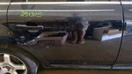 Passenger Rear Side Door Electric Tinted Fits 05-07 Five Hundred 932621. Fixed Price $380.00.