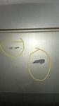 Passenger Rear Side Door Fits 06-10 Mountaineer 636572. Fixed Price $503.35.