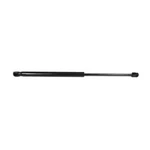 Genuine Ford Window Lift Cylinder 8L8Z-7842105-A. Fixed Price $32.08.