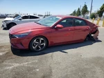 Left Red Rear Door Assembly Oem 21-23 Hyundai Elantra. Fixed Price $535.00.