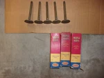 1955-56 Dodge/plymouth V-8 Nos/new Set Of 5-INTAKE Valves #1614664. Fixed Price $59.95.