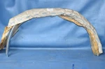 Nos 1982-93 Chevy S-10 Truck Lh Rear Wheel Lip Molding Edge Trim 14033613 Gmc. Fixed Price $200.00.
