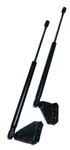 2008-2012 Ford Escape & Mercury Mariner Rear Window Lift Cylinders, Oem Part. Fixed Price $24.95.