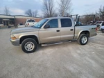 00-04 Dodge Dakota Oem Mopar Lh Front Door Tan-pkj 197963. Fixed Price $499.00.