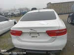 Left Wht Rear Door Assembly Oem 17-19 Jaguar Xe. Fixed Price $175.00.