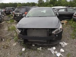 Driver Front Door Electric Hatchback Gt Fits 18-20 Elantra 1769302. Fixed Price $459.00.