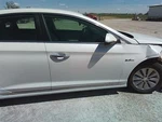 Passenger Front Door Electric Korea Built Hybrid Fits 16-19 Sonata 3005778. Fixed Price $745.00.