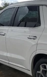 2020-2022 Hyundai Palisade Lh Left Driver Side Rear Door Oem. Fixed Price $2173.00.