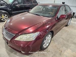 Driver Left Front Door 3R5-RUBY Red Fits 07-12 Lexus ES350 1348861. Fixed Price $150.00.