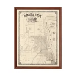 Old Map Of Omaha, 1866 - Vintage Nebraska Art. Fixed Price $119.99.