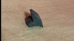 Nos C2AZ-6223030-A 65 66 67 68 Mustang Door Bumper. Fixed Price $10.00.