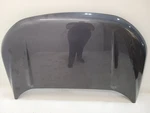 2015 - 2018 Ford Edge Hood Panel Gray. Fixed Price $1131.90.