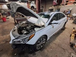 2015 Hyundai Sonata Driver Left Fender Oem Used 4DR Wht 110-61289L. Fixed Price $284.95.