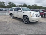 Driver Left Front Door Thru 11/14/10 Fits 07-11 Escalade 1179100. Fixed Price $514.90.