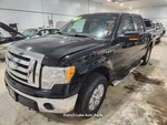 Passenger Rear Side Door Crew Cab Ua-black Fits 2009 Ford F150 1323350. Fixed Price $150.00.