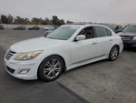 Right Wht Rear Door Assembly Oem 09-14 Hyundai Genesis. Fixed Price $155.00.
