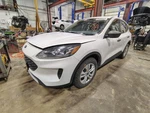 Passenger Rear Side Door Green Tint Glass Fits 20-25 Escape 1483753. Fixed Price $410.50.