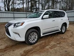 Passenger Right Rear Side Door Fits 16-19 Lexus GX460 4900283. Fixed Price $910.00.
