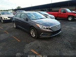 2016 Hyundai Sonata Passenger Rear Door Electric Used Oem 578989. Fixed Price $255.00.