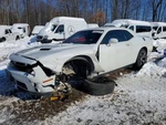 (local Pickup Only) Passenger Right Front Door Fits 15-23 Challenger 2132729. Fixed Price $749.90.